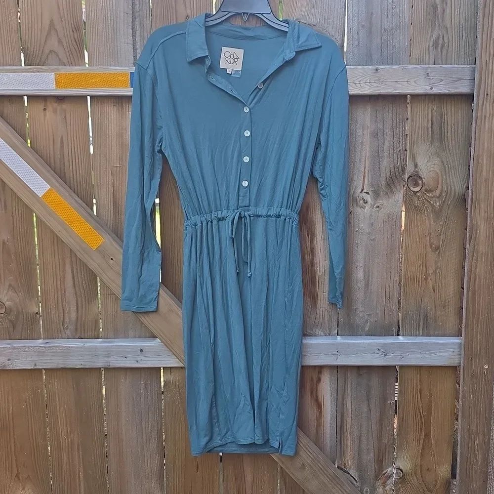 Teal Button-Up Long Sleeve Dress